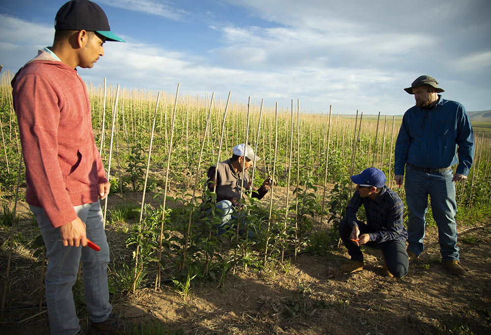 seminarian-immersion-program-yields-a-harvest-of-pastoral-experience